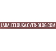 Logo du blog laraleelouka